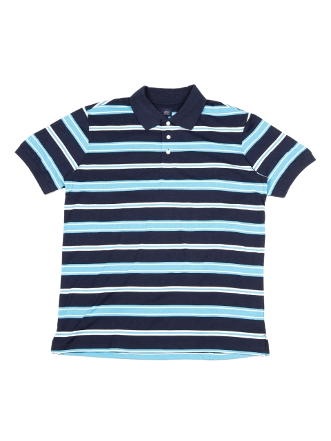 

ALTOMODA by Pantaloons Plus Size Men Blue Striped Polo Collar T-shirt