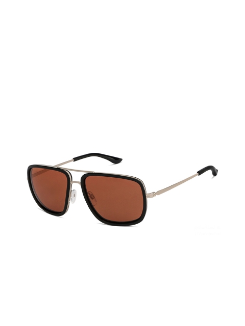 

Vincent Chase Unisex Brown Lens & Gold-Toned Square Sunglasses with Polarised and UV Protected Lens