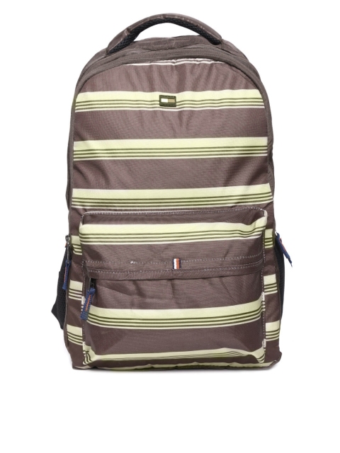 

Tommy Hilfiger Unisex Brown Striped Backpack