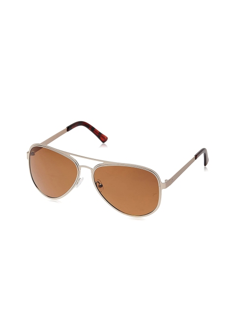 

Titan Unisex Brown Lens & Gold-Toned Aviator Sunglasses with UV Protected Lens