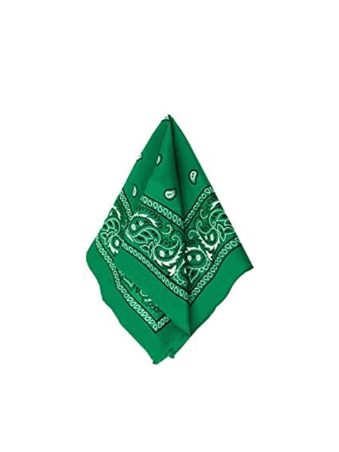 

Aadishwar Creations Green & White Printed Pure Cotton Bandana Headband