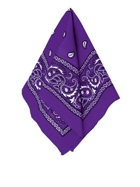 

Aadishwar Creations Unisex Purple Paisley Printed Cotton Bandanas