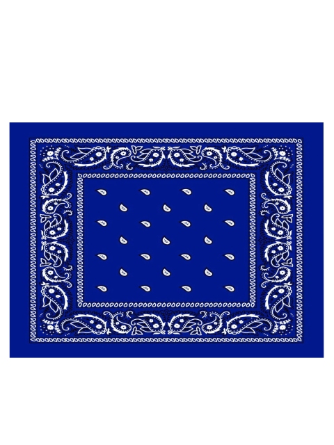 

Aadikart Unisex Pack Of 3 Blue & White Paisley Printed Bandanas