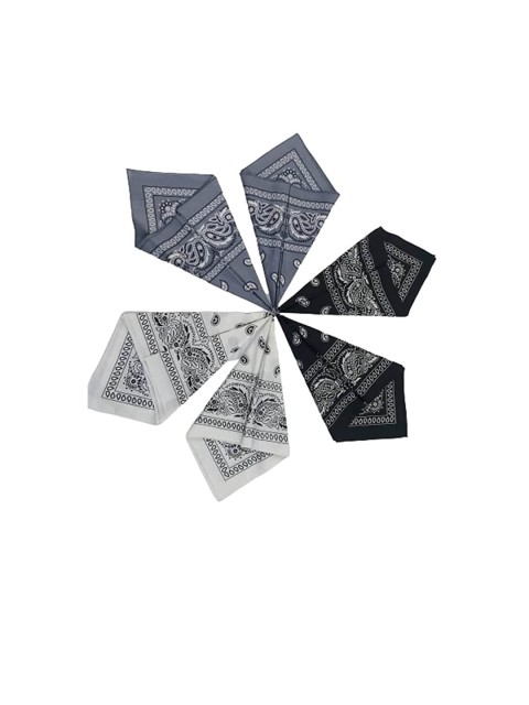 

Aadikart Unisex Pack Of 6 White & Black Paisley Printed Bandanas, Grey