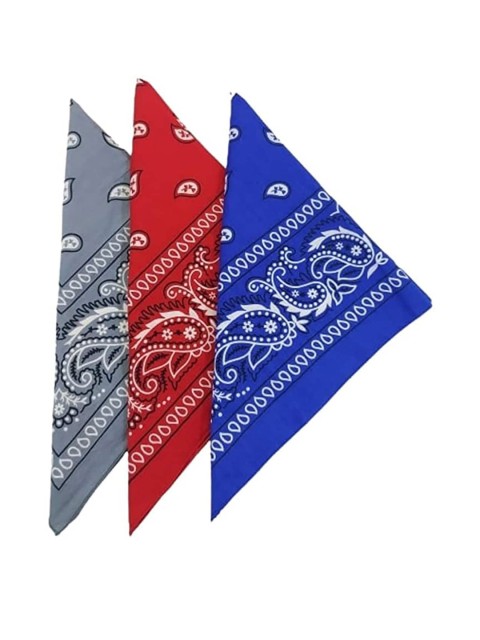 

Aadikart Unisex Pack Of 3 Blue & Red Paisley Printed Bandanas