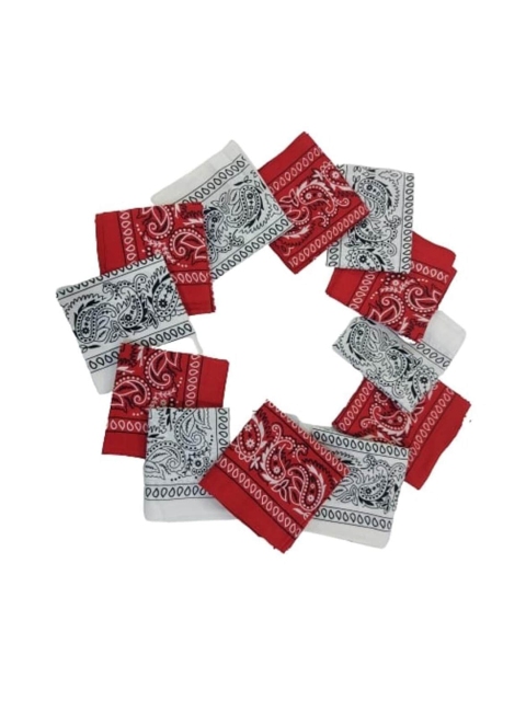 

Aadikart Unisex Pack Of 12 White & Red Paisley Printed Bandanas, Multi
