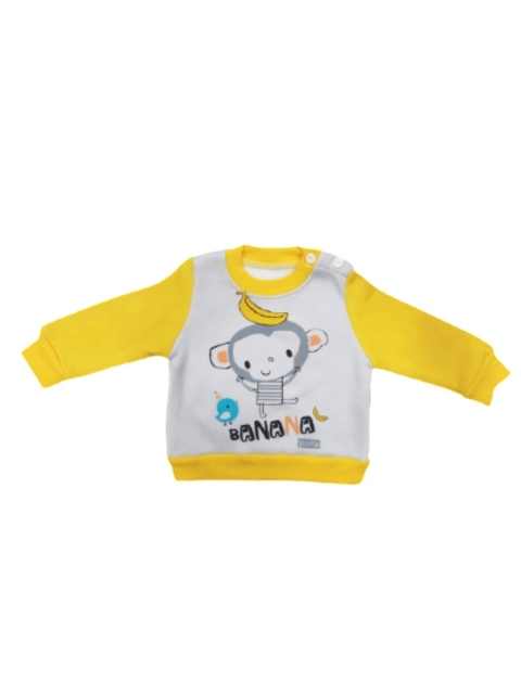 

Camey Kids Grey Printed Cotton Full Sleeves Round Neck Sweatshirt