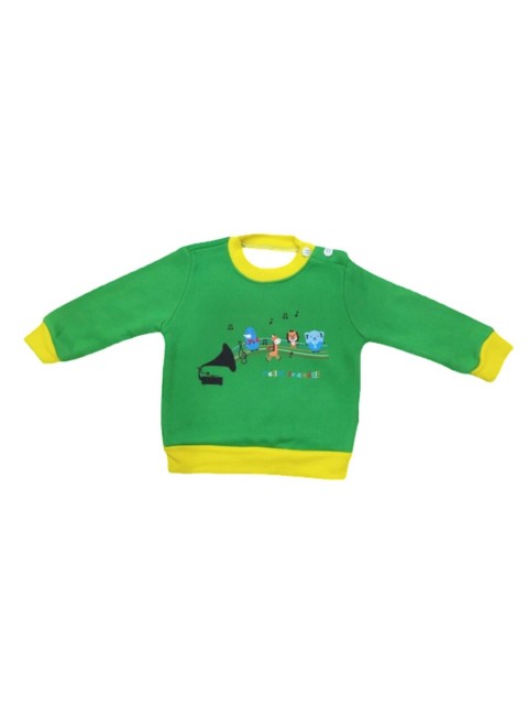 

Camey Boys Green Printed Sweatshirt