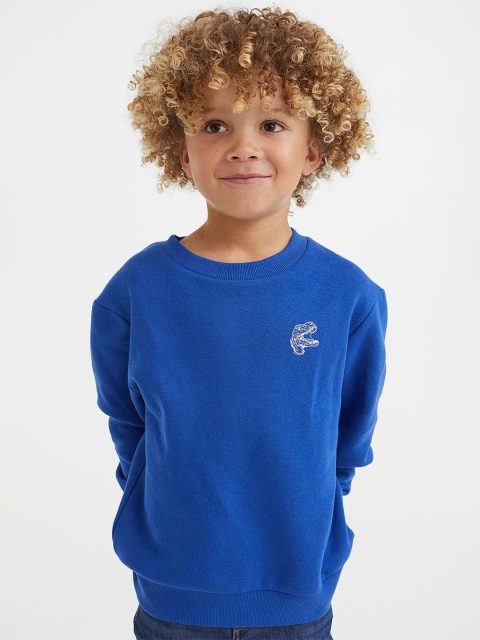 

H&M Boys Blue Sweatshirt