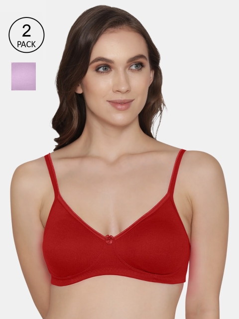 

K LINGERIE women Pack of 2 Red & Lavender Bra