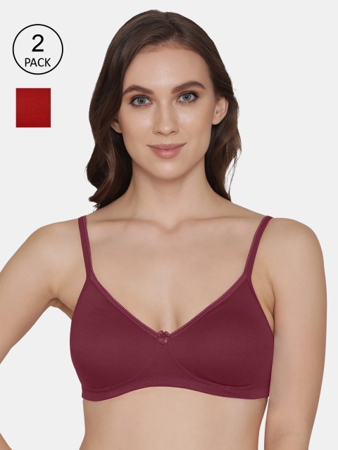 

K LINGERIE Red & Maroon Pack Of 2 Non-Padded T-shirt Bra 5060-Rosebud Red 30 B