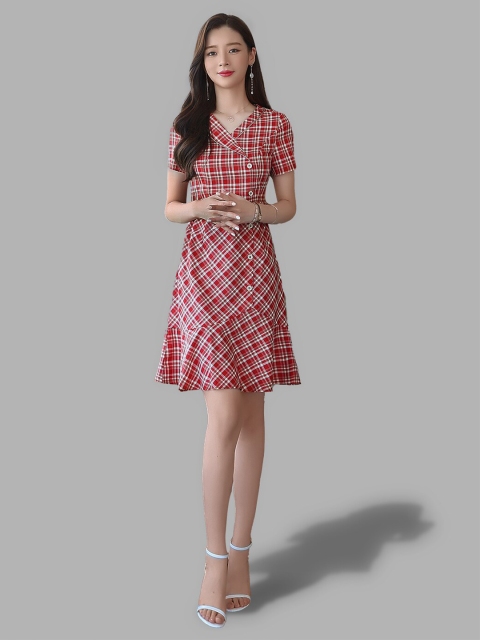 

JC Collection Women Red Checked A-Line Dress