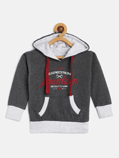 

Palm Tree Boys Grey Printed Hooded Sweatshirt