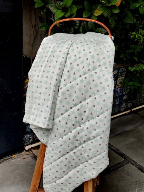 

Moms Home Kids Green & Blue AC Room 300 GSM Single Bed Quilt