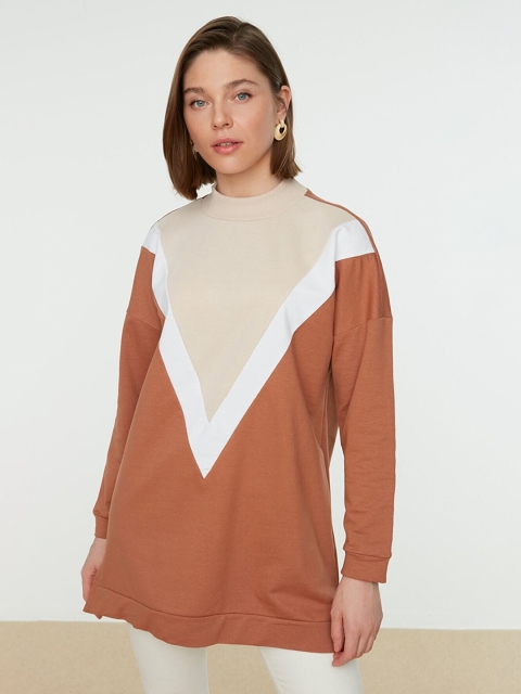 

Trendyol Women Beige Colourblocked Sweatshirt