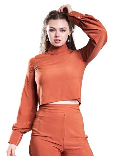

NEOFAA Brown Solid Crop Top