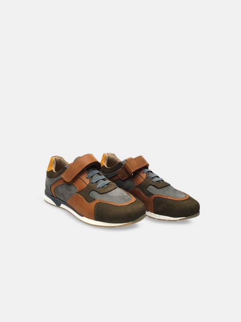 

Hopscotch Boys Brown Colourblocked Nubuck Sneaker