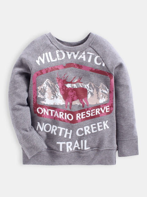 

Hopscotch Boys Grey Printed Cotton Sweatshirt