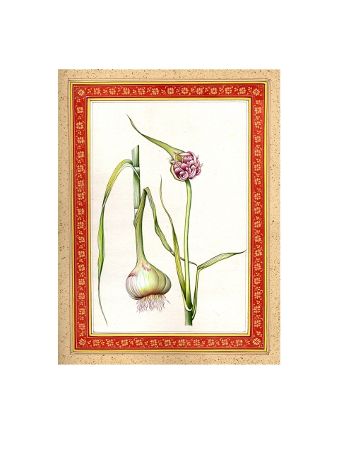 

Exotic India White Garlic Plant Wall Art