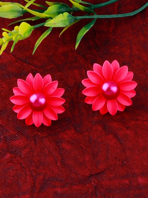 

Silver Shine Red Contemporary Studs Earrings