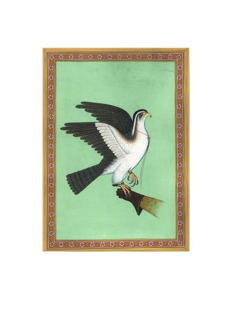 

Exotic India Green & White Royal Hawk Used for Falconry Painting Wall Art, Multi
