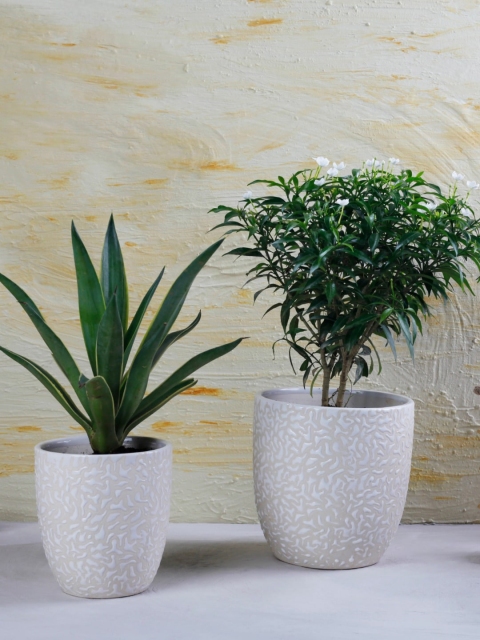 

The 7 DeKor White Textured Ceramic Planter