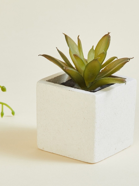 

Home Centre White & Green Textured Succulent Artificial Plants With Pot, Multi