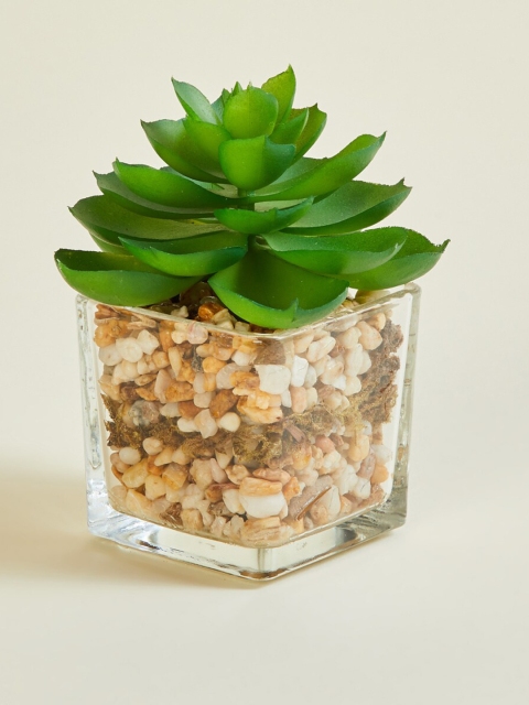 

Home Centre Green Artificial Petaluma Plant In Glass Pot