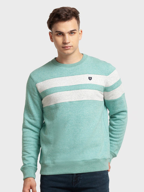 

ColorPlus Men Plus Size Striped Sweatshirt, Green