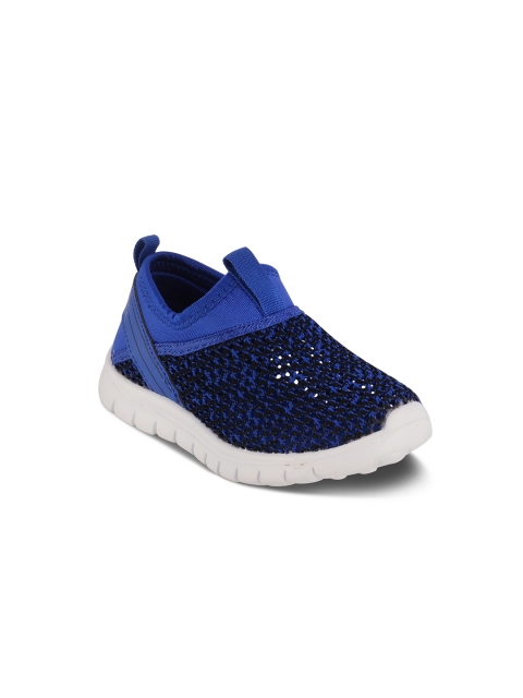 

Kittens Boys Navy Blue Slip-On Sneakers