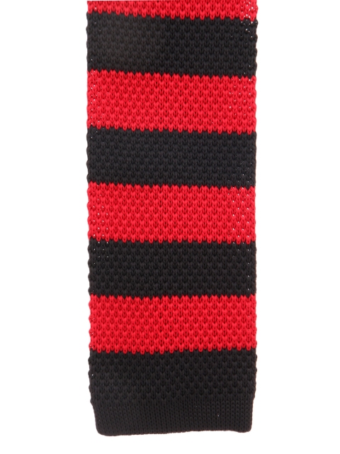 

Alvaro Castagnino Black & Red Striped Tie