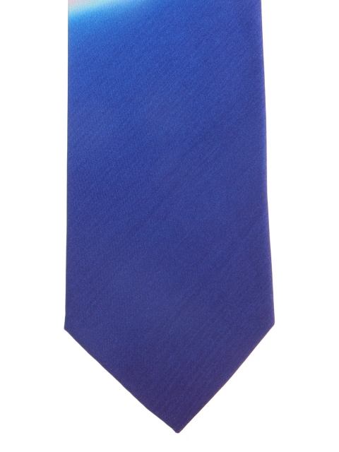 

Alvaro Castagnino Blue & Yellow Printed Silk Tie