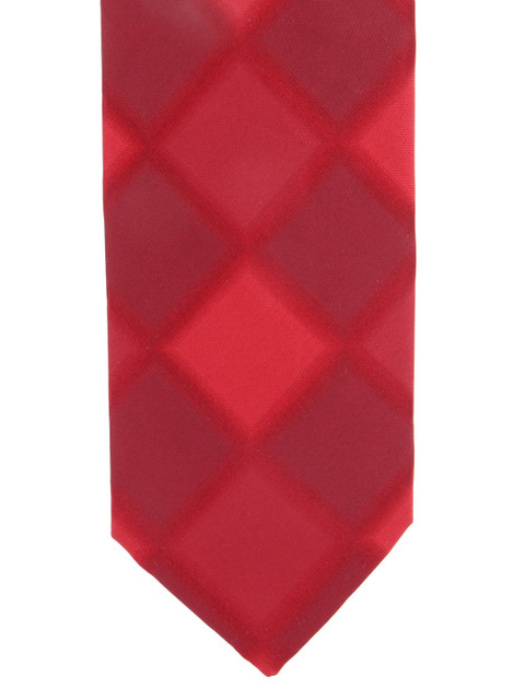 

Alvaro Castagnino Maroon Checked Silk Tie