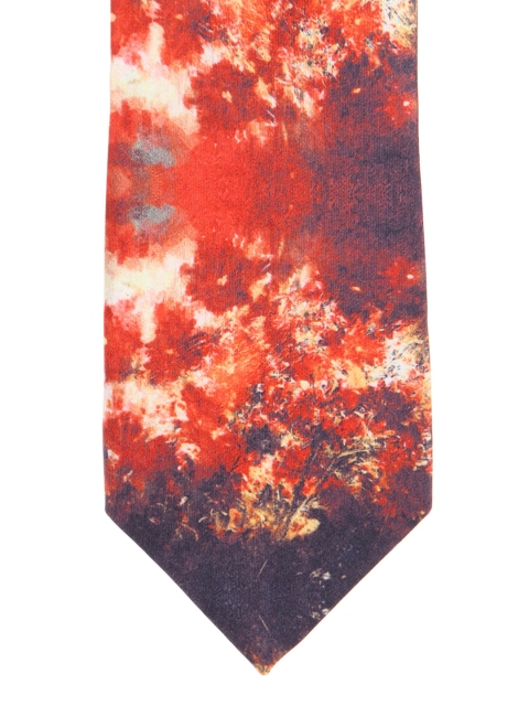 

Alvaro Castagnino Orange & Navy Printed Tie