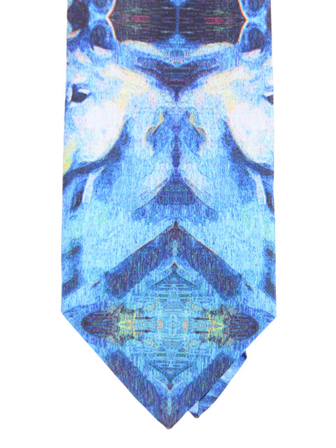 

Alvaro Castagnino Blue Printed Tie