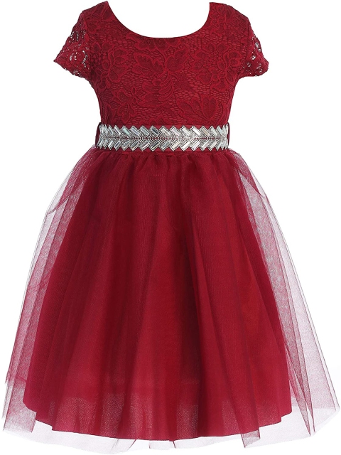 

Samsara Couture Burgundy Net Dress