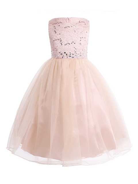

Samsara Couture Pink Net Maxi Dress
