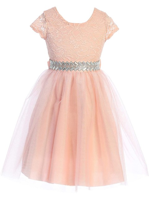 

Samsara Couture Peach-Coloured Net Dress