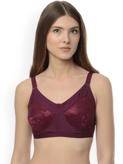 

Da Intimo Burgundy Solid Non-Wired Non Padded Everyday Bra