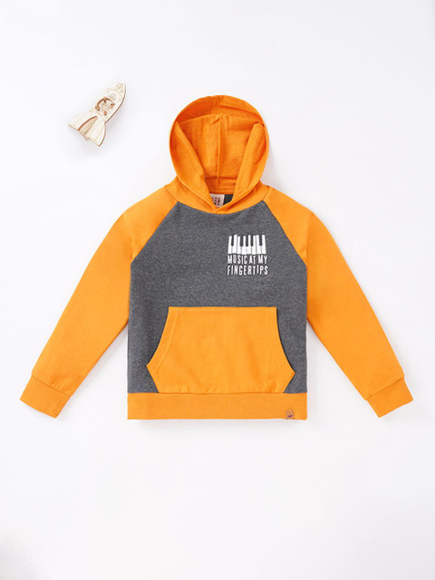 

Ed-a-Mamma Boys Blue Colourblocked Pure Cotton Hooded Sweatshirt