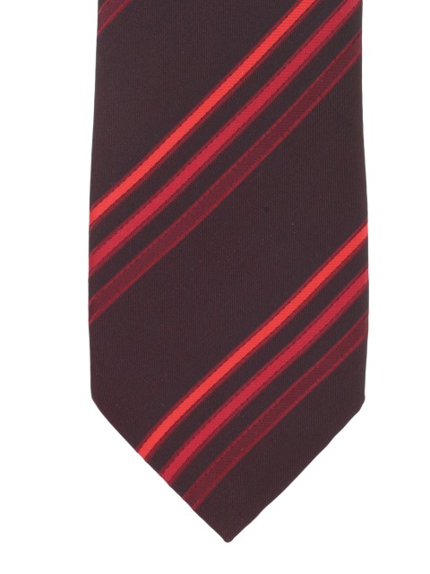 

Alvaro Castagnino Brown Striped Tie