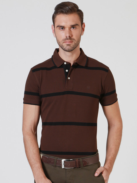 

Allen Solly Men Brown Striped Polo Collar T-shirt