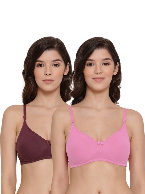 

LYRA Assorted Pack of 2 Maroon & Pink Cotton Padded Bra LYRA_BRA_511_WN_BPK_38B_2PC