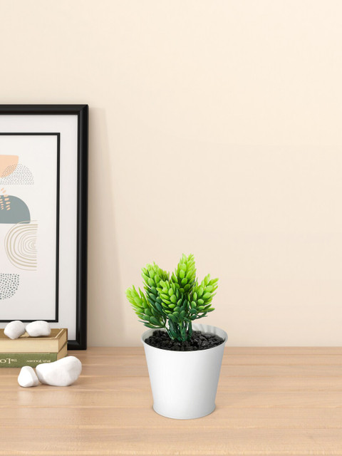 

Living scapes by Pantaloons Artificial Plants, Green