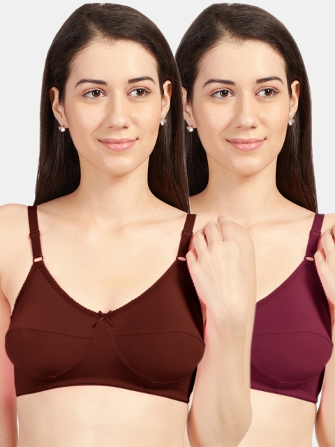 

Sonari Pack Of 2 Burgundy & Coffee Brown Non-Padded Bra