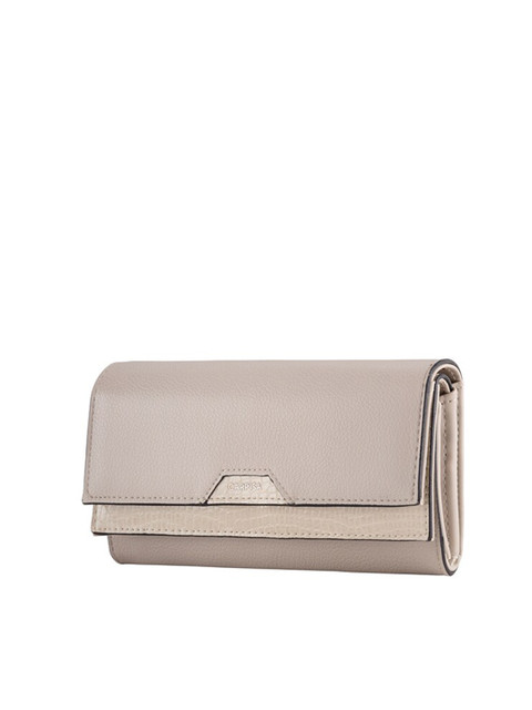 

CARPISA Women Taupe Solid Card Holder
