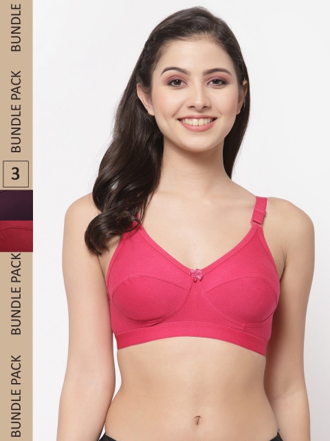 

College Girl Pack of 3 Pink & Maroon Solid Bra