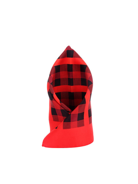 

Alvaro Castagnino Men Red Checked Pocket Square
