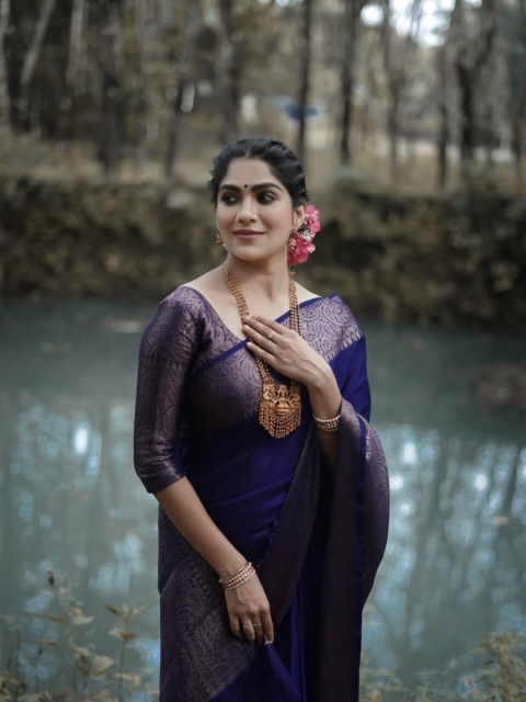 

BESUCHER Navy Blue & Gold-Toned Woven Design Zari Art Silk Kanjeevaram Saree