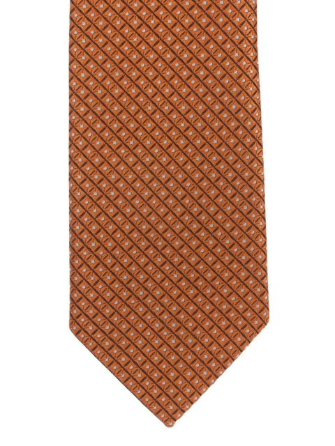 

Alvaro Castagnino Brown Patterned Tie